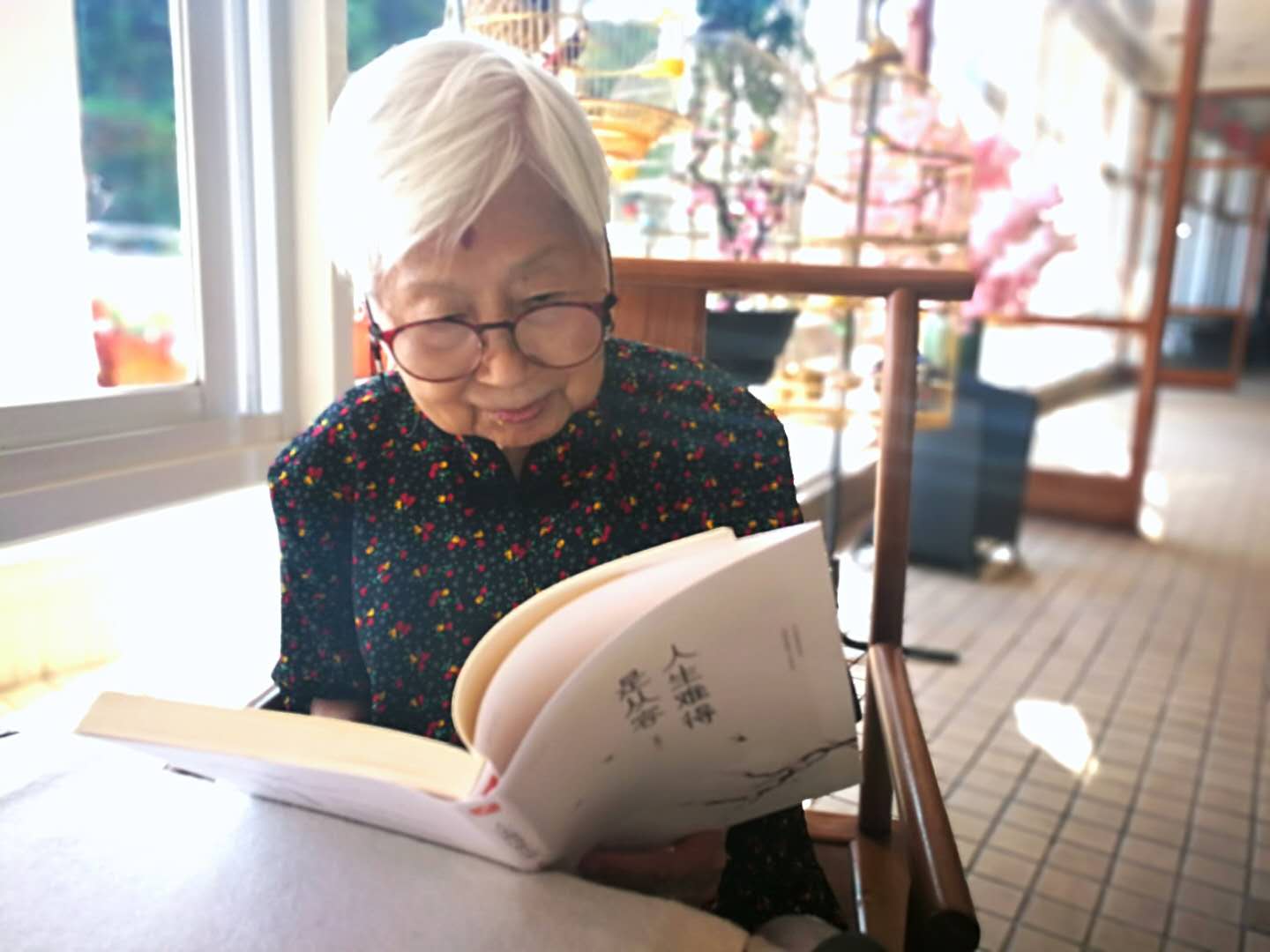 喜欢看您认真看书的模样