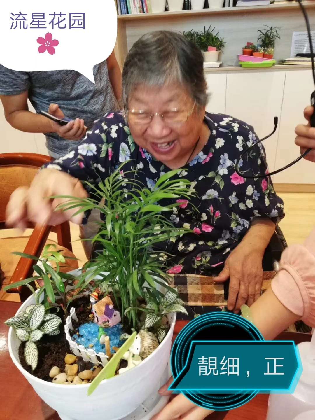 语文老师喜欢种花弄草