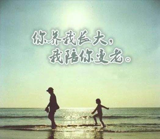 陪伴父母，不必再等来日方长