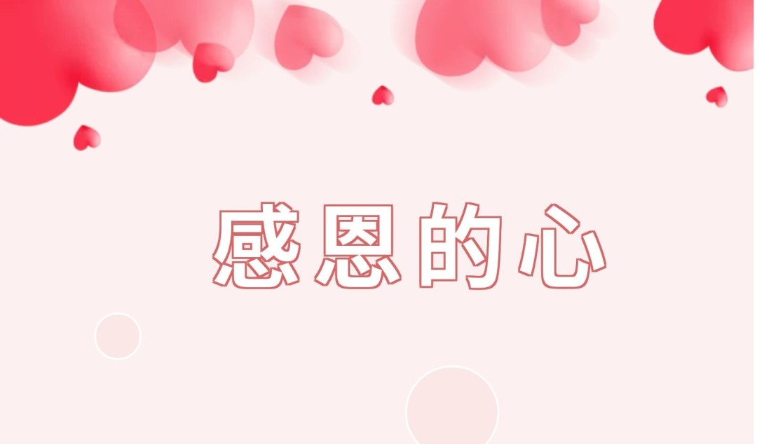 疫情下的遇见(三)——花开