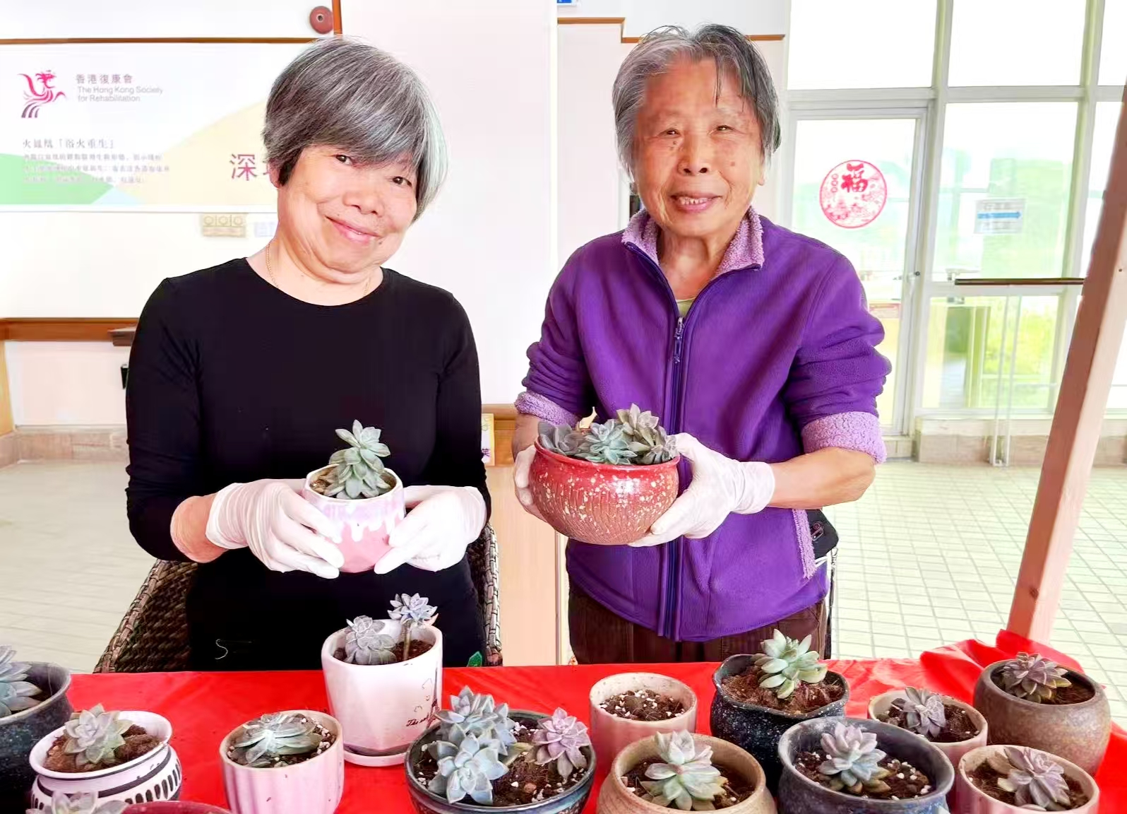 春暖花开，「植」得期待