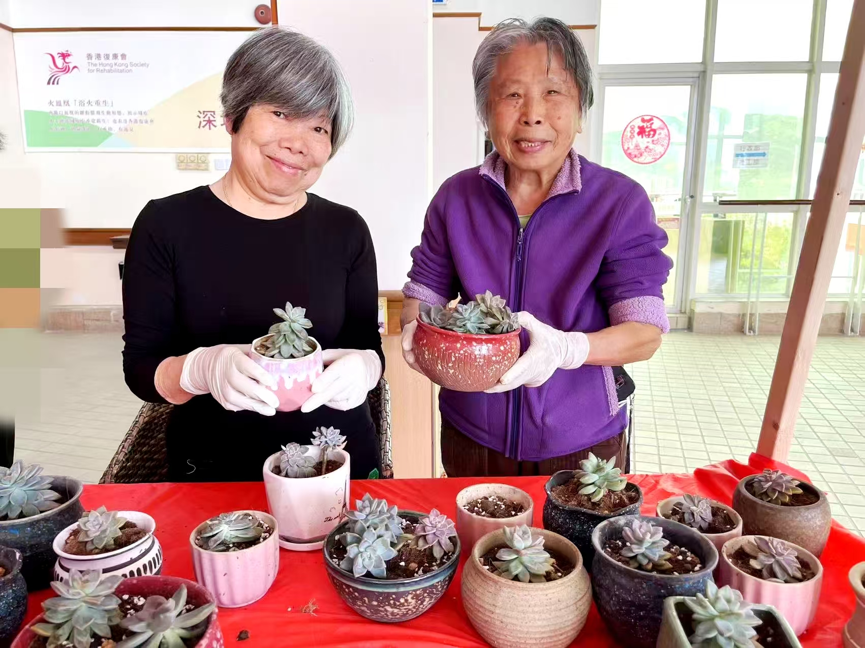 2025年3月12日【春暖花開，「植」得期待】
